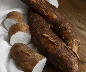 Tubercules & Racines