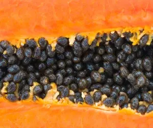 Fruits Exotiques