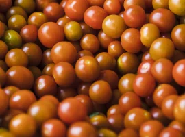 Produits de la Ferme