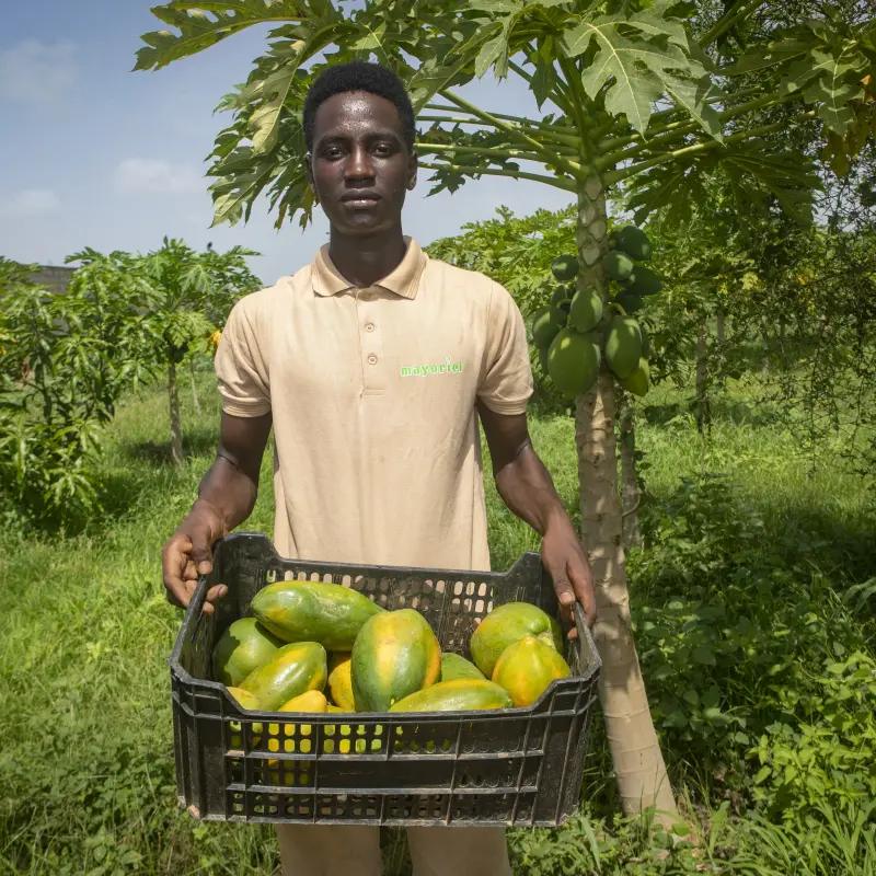 Comment Choisir les Meilleurs Légumes de Saison