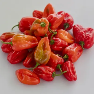 Piment rouge frais