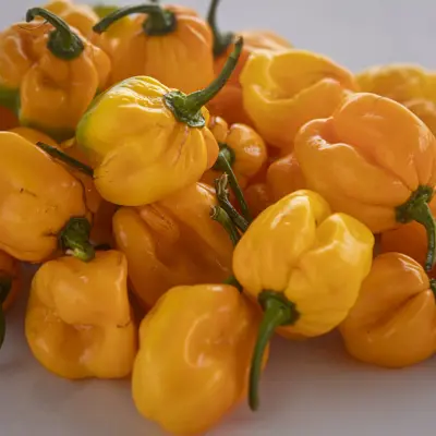 Piment jaune frais